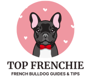 Top Frenchie | French Bulldog Guides & Tips