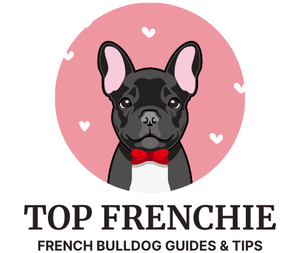 Top Frenchie | French Bulldog Guides & Tips