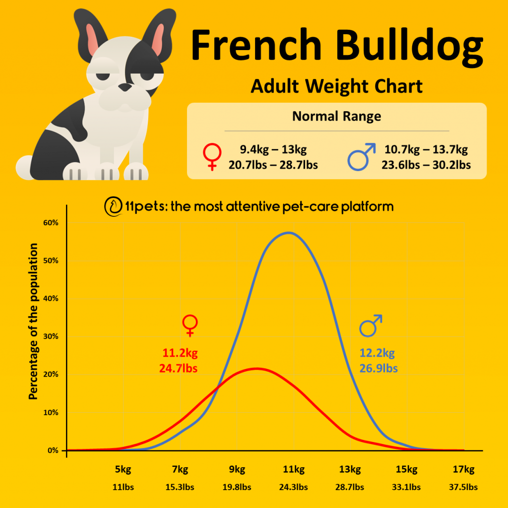 Feeding Your French Bulldog Puppy (Ultimate Guide & Tips) French Bulldog Weight Chart