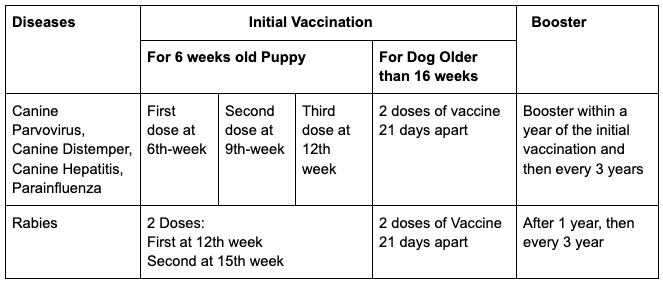Vet Treatments For French Bulldogs (Advice From A Vet) Core Vaccines for French Bulldogs