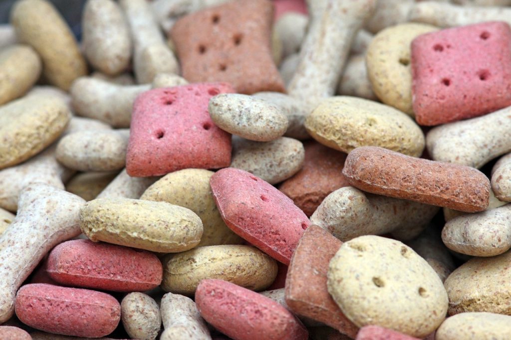 11 French Bulldog Allergy Symptoms To Look Out For What to Feed French Bulldogs With Allergies