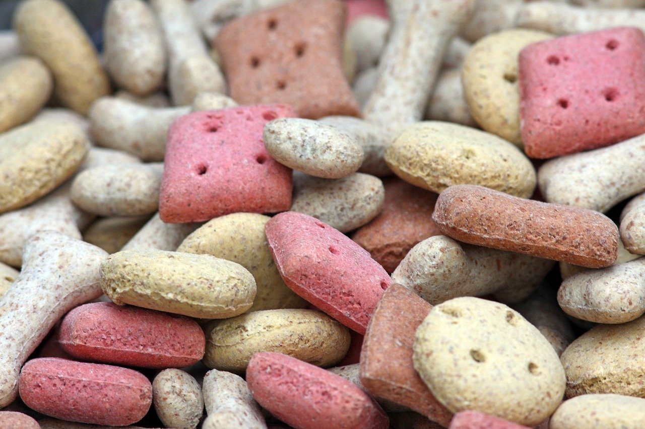 Potential Allergies and Sensitivities in French Bulldogs