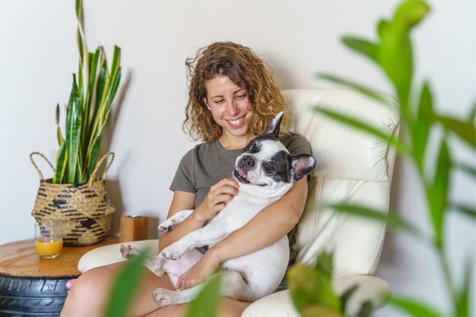 The Ultimate French Bulldog Guide: Everything You Need to Know French Bulldogs are notoriously affectionate