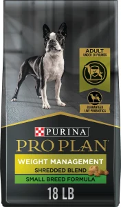French Bulldog Breathing Problems: Causes & Solutions (Vet Advice) 218814 MAIN. AC SL1200 V1649131010