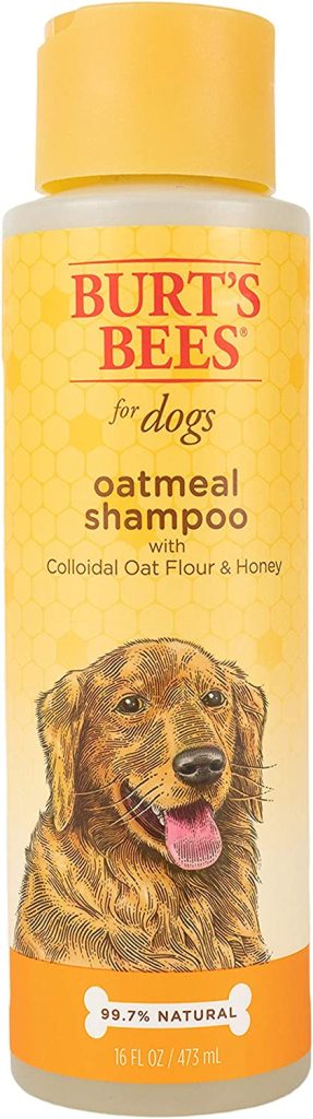 How to Bathe Your French Bulldog: A Step-by-Step Guide 819NGdTxS3L. AC SL1500
