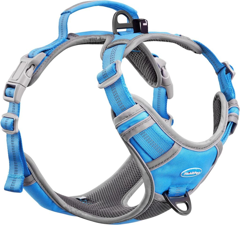 French Bulldog Harnesses: The Ultimate Guide (Perfect Fit) 81DpDHwnq0L. AC SL1500