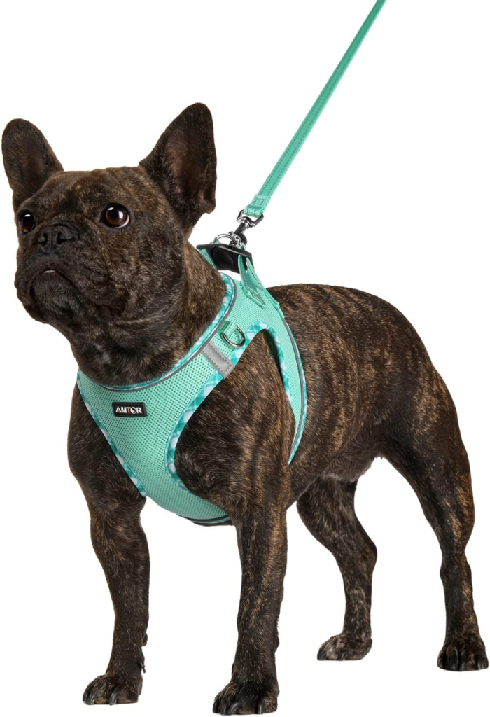 French Bulldog Harnesses: The Ultimate Guide (Perfect Fit) AMTOR Dog Harness with Leash Set - Top Frenchie