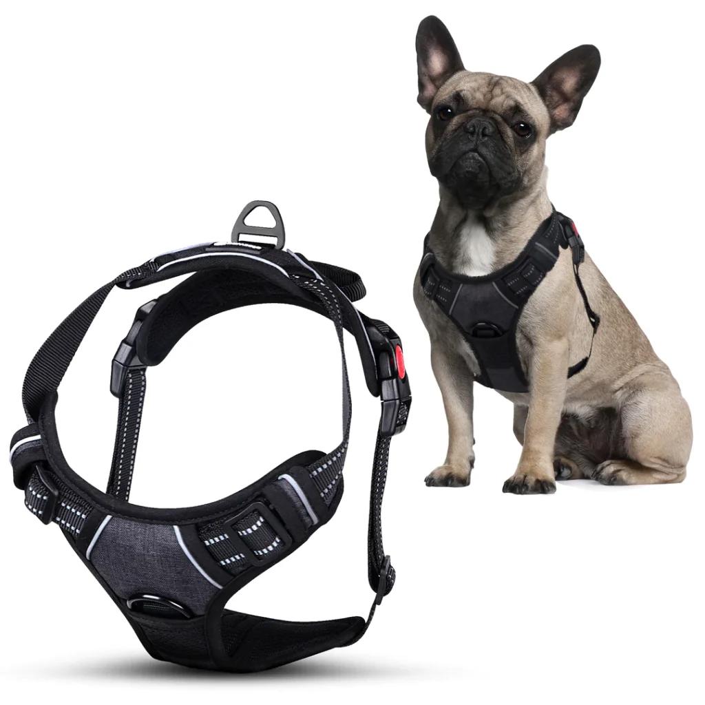 PawSafe No Pull Dog Harness - Top Frenchie