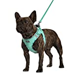 AMTOR Dog Harness with Leash Set