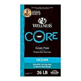 Wellness Core Grain-Free Kibble
