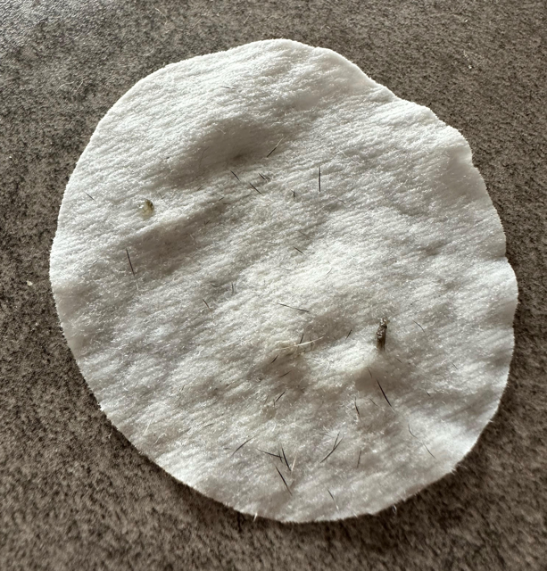 Bugalugs Ear Wipes & Eye Wipes Review Bugalugs Eye Wipes Work Well Medium