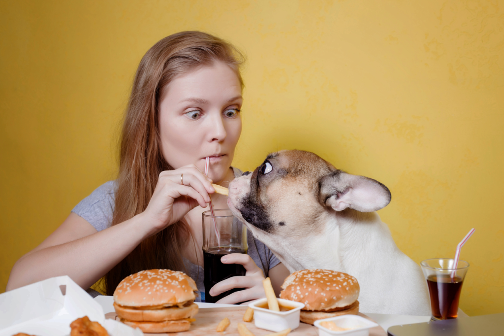 Human Foods to Avoid Feeding Your French Bulldog - Top Frenchie