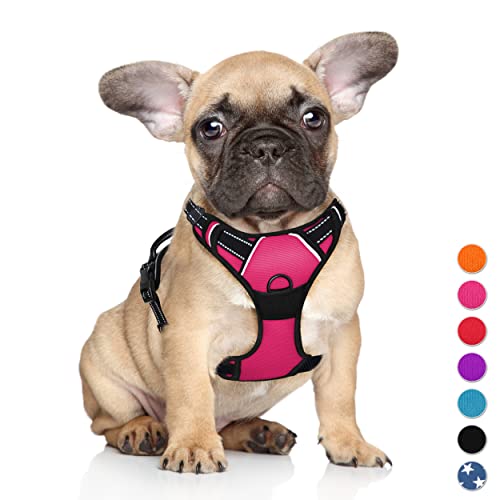 BARKBAY No Pull Pet Harness Dog Adjustable Harness - Top Frenchie