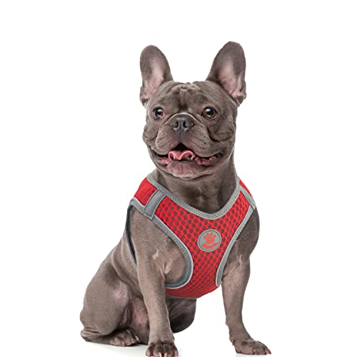 DOCO Step-in Bulldog Dog Harness - Top Frenchie