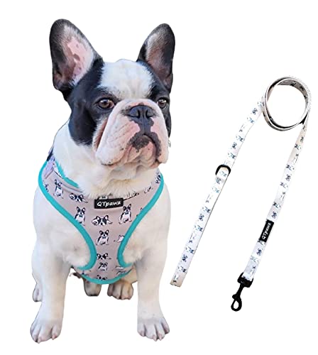 QTpawz French Bull Dog Vest Harness - Top Frenchie