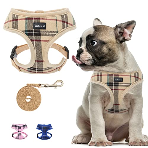 SCENEREAL Puppy Harness and Leash Set - Top Frenchie