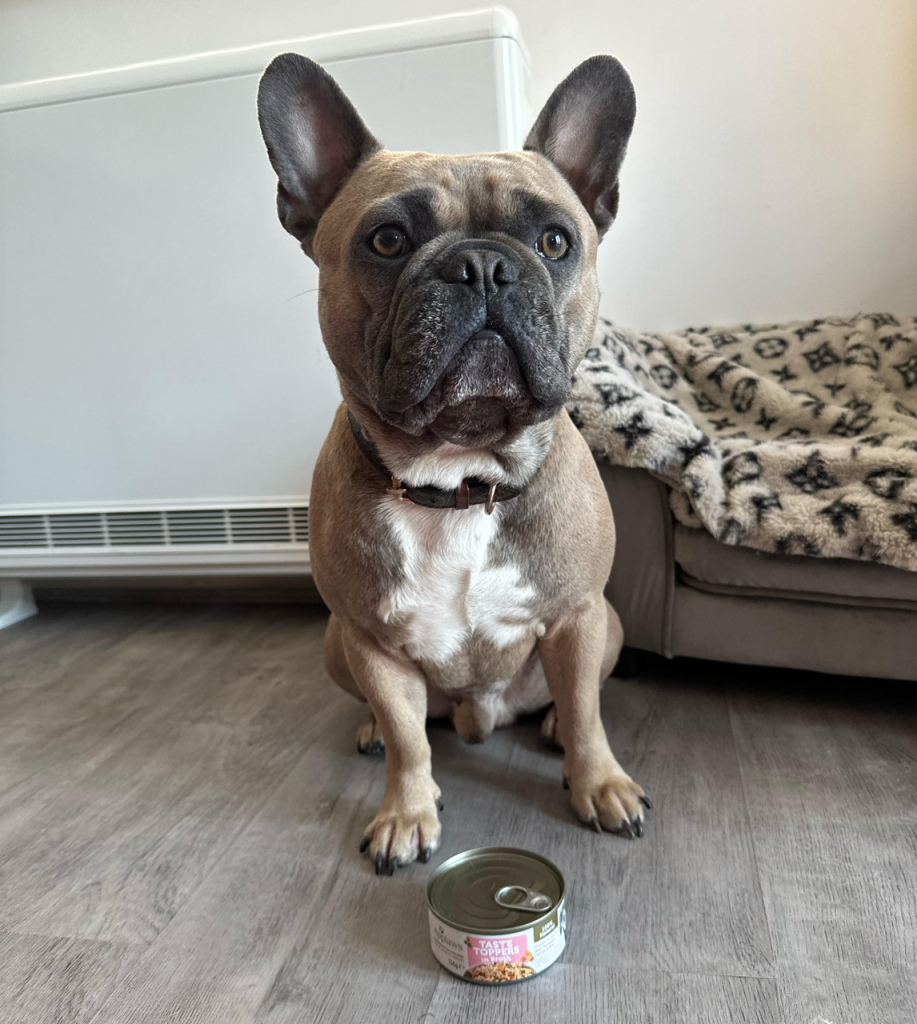 Applaws Taste Topper Dog Food Review - Top Frenchie