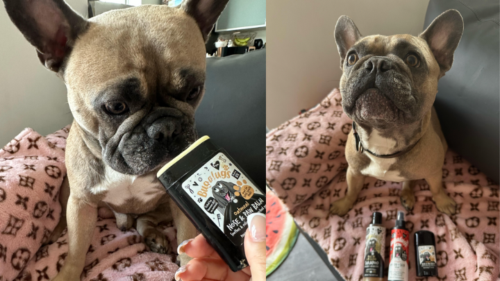 Bugalugs Nose & Paw Balm Review - Louis - Top Frenchie