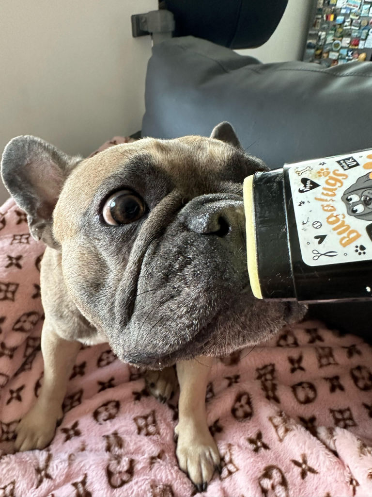 Bugalugs Nose & Paw Balm Review - Louis V Loves It - Top Frenchie