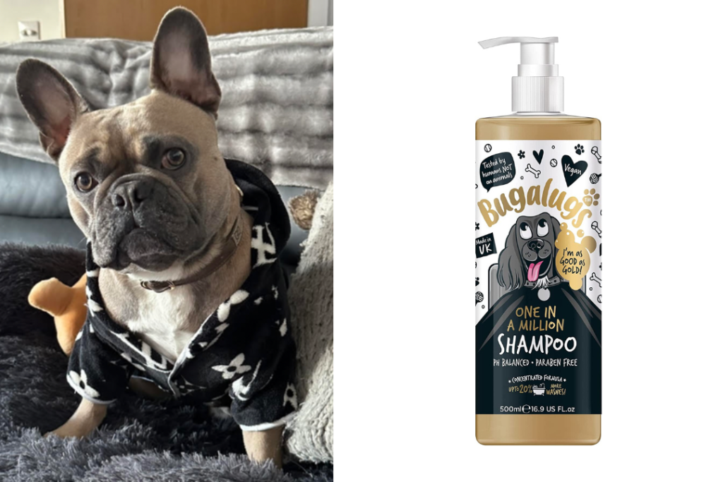 Bugalugs One in a Million Shampoo - Honest Review - Top Frenchie
