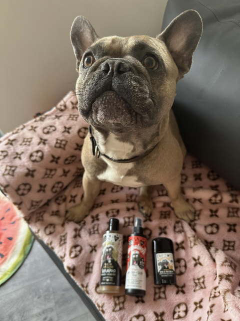 Bugalugs One in a Million Shampoo - Review - Top Frenchie
