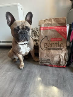 Gentle Cold Pressed Kibble Review - Top Frenchie