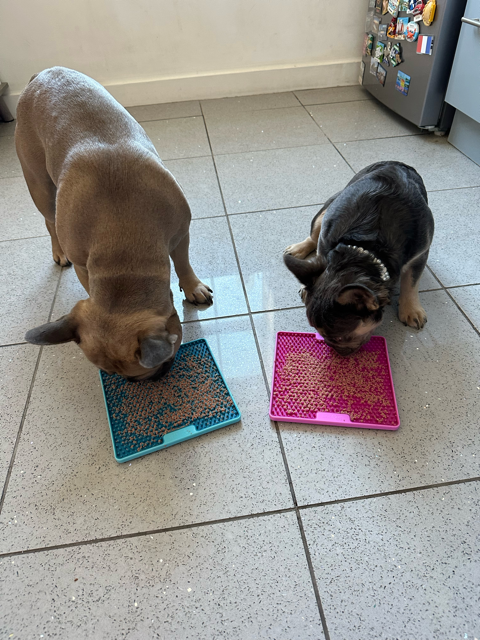 LickiMat Soother Tuff Pro (Honest Review) LickiMat Soother Tuff Pro - Louis & Dolcie - Top Frenchie