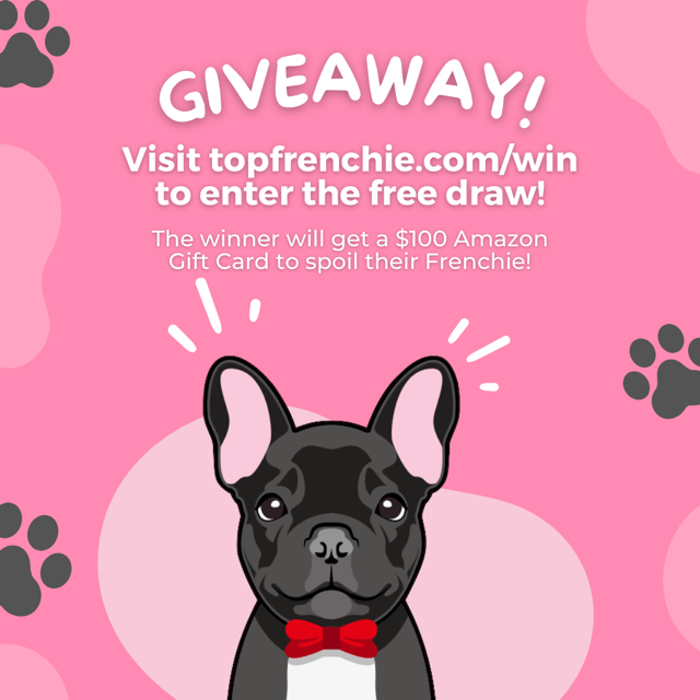Top Frenchie Giveaway Site Medium