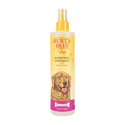 Burt's Bees Natural Dry Shampoo with Apple & Honey