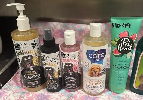 French Bulldog Shampoo Review - Top Frenchie
