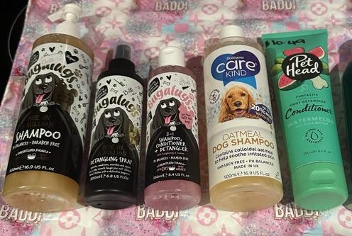 Louis V & Dolcie’s French Bulldog Shampoo Review Recommended French Bulldog Shampoos - Top Frenchie