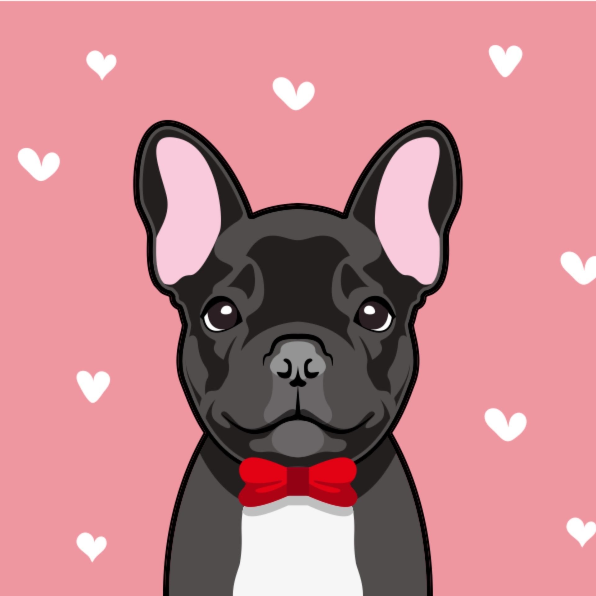 French Bulldog Skin Care: Keep Your Frenchie's Skin Healthy The French Bulldog Podcast By Top Frenchie scaled