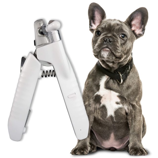 French Bulldog Grooming 101: Tips & Tricks (For Beginners) Pawsafe Nail Clippers - Top Frenchie