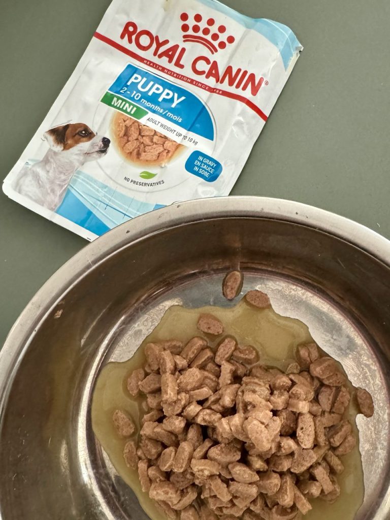 Royal Canin Mini Puppy Wet Food - Top Frenchie Product Review 2